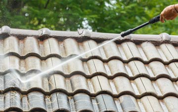 roof cleaning 